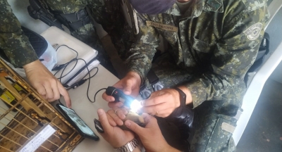 Criadores de pássaro são multados em R$ 500 cada por adulteração de anilhas em Tupã