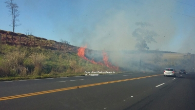 Incêndios em mato se espalham pela cidade