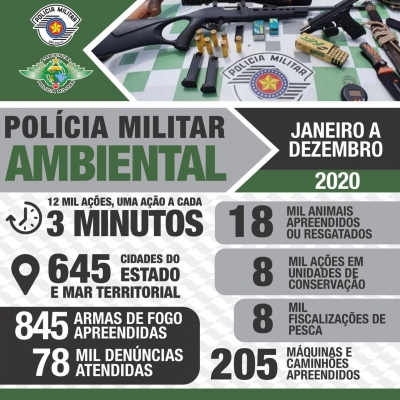 Polícia Militar Ambiental divulga os resultados operacionais de 2020