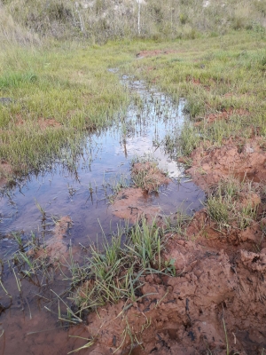 Marília irá lançar projeto para recuperar e proteger as nascentes