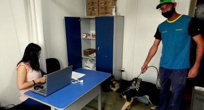 Ação da Entrevias realiza castrações gratuitas em cães e gatos, na região