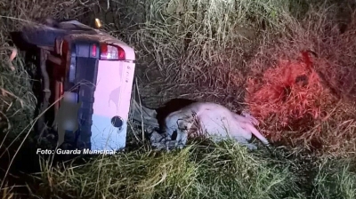 Ladrões de gado capotam veículo ao fugirem da polícia