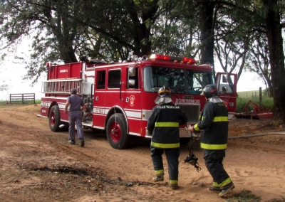 Homem morre soterrado por café em fazenda