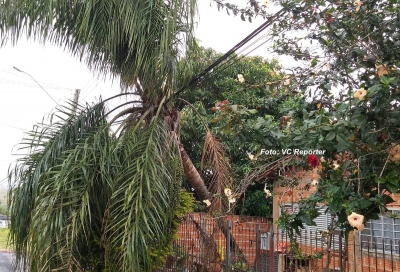 População da zona Sul ainda sofre com falta de energia. Rio do Peixe volta a abastecer a cidade