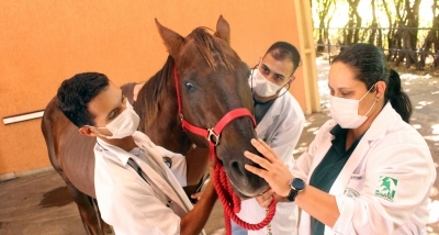 Mestrado Profissional em Saúde Animal da Unimar: inscrições terminam hoje