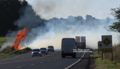 Fogo às margens da SP-294 ameaça motoristas