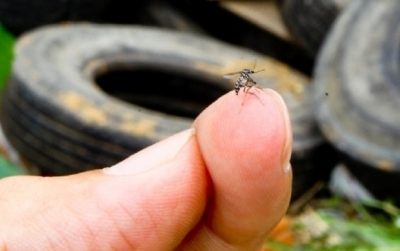 Lins confirma quarta morte por dengue neste ano