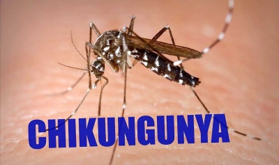 Garça confirma caso de chikungunya, mas "importado"