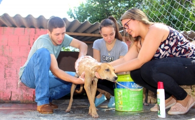 Medicina Veterinária da Unimar realiza primeira etapa do Trote Solidário em ONGs de Proteção Animal