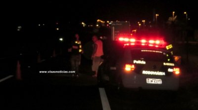 Cavalos às margens da SP-294 ameaçam motoristas