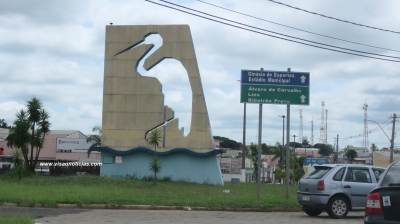 Garça terá novas campanhas de vacinação antirrábica