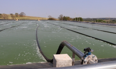 Marília avança no ranking do Programa Município Verde Azul 