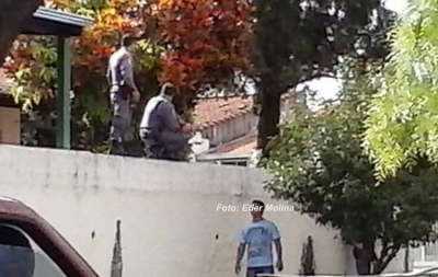 MATÉRIA ATUALIZADA: Polícia Ambiental apreende pássaros na zona Norte