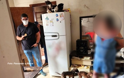 Operação prende mulher acusada de maus tratos contra animais