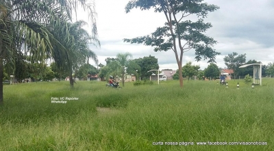Usuários do complexo de trânsito reclamam de matagal e falta de estrutura