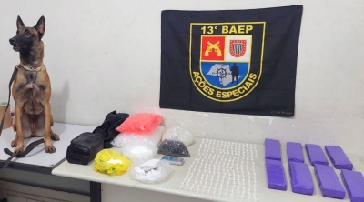 BAEP apreende grande quantidade de drogas em Marília