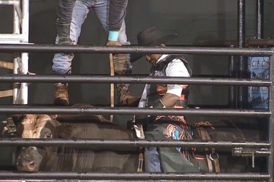 Peões comemoram volta à arena em rodeio drive-in