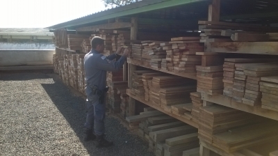 Polícia Ambiental realiza "Operação Madeireira"