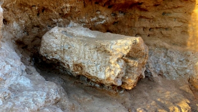 Descoberta de fóssil de dinossauro paralisa obras na SP-333 próximo a Marília