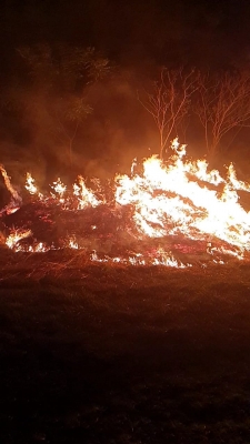 Incêndio de grande proporção atinge área às margens da SP-294
