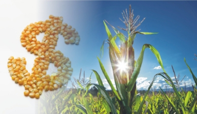 Caixa oferece mais de R$ 10 bi em crédito rural