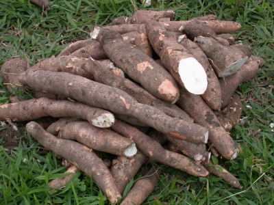 Quarteto é preso após roubo de mandioca em chácara na região