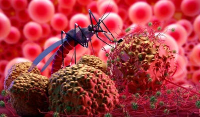 Você sabe quais as diferenças dos sintomas da dengue e de covid-19?