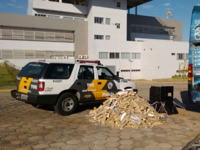 Em ônibus de banda, dupla transporta tabletes de maconha em 