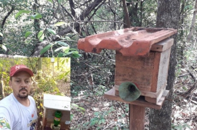 Projeto Doce Futuro está garantindo a polinização dos alimentos em Marília 