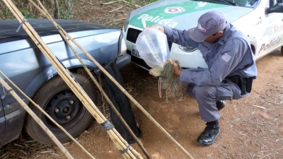 Pescadores são multados por pesca em local proibido