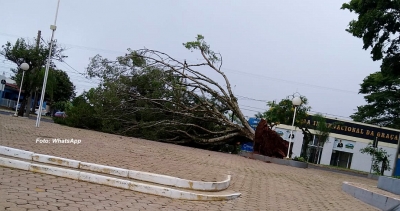 Temporal derruba árvores e causa estragos em Garça