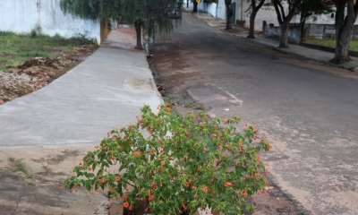 Melhorias: Prefeitura segue na construção de calçadas