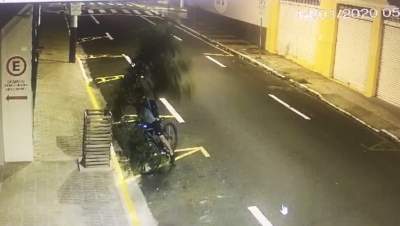 Prefeitura de Marília repudia destruição de árvore no centro