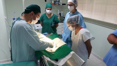 Leishmaniose: em 10 dias, quase 50 animais já foram castrados em Marília 
