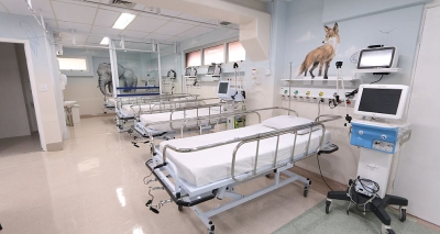 HBU amplia atendimento com um novo Centro Pediátrico e incorpora leitos da UTI Neonatal