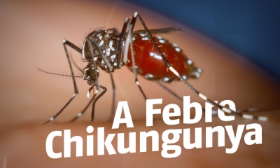 Saúde confirma primeiro caso de febre chikungunya em Marília