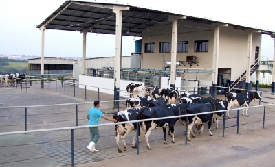 Unimar realiza X Seminário Regional de Produção e Reprodução Animal 