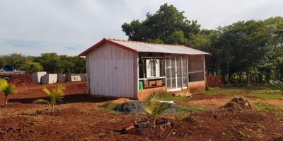 Produtor rural de 70 anos leva multa de R$ 7,8 mil por cortar árvores nativas