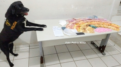 PM faz operação para localizar ponto de "refino" de cocaína