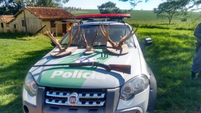Polícia Ambiental apreende chifres, armas e munições
