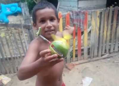 Menino de 10 anos faz helicóptero com laranja, pilha e hélice de plástico