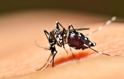 Garça terá dia “D” de vacinação contra a febre amarela no sábado