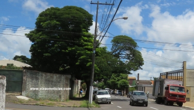 Prefeitura e CPFL iniciam planejamento para o Programa Arborização + Segura em Marília
