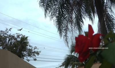 Sem horário de verão, semana deve ter mais chuva