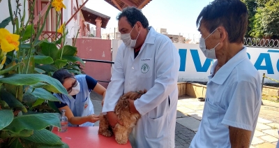 Marília terá nova campanha de vacinação antirrábica