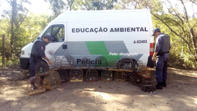 Pedreiro e desempregado são multados em R$ 12 mil por manter aves em cativeiro