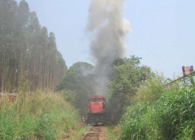Locomotiva carregada com celulose pega fogo 