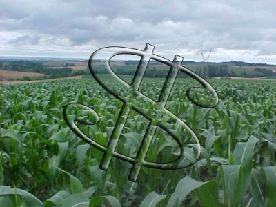 Agricultor poderá fracionar patrimônio para garantir crédito