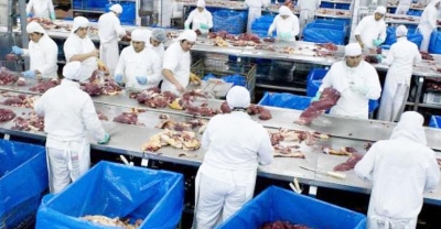 Governo interdita três frigoríficos e afasta 33 funcionários