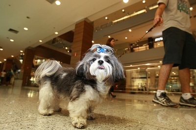 Marília Shopping recebe primeira edição do Band Pet Show